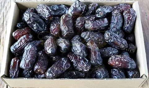 خرما مضافتی قهوه ای با ساختار طبیعی گرمسیری